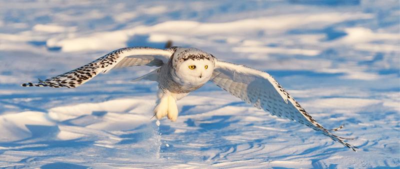 Natur- und Reisefotografie – Bildbesprechung